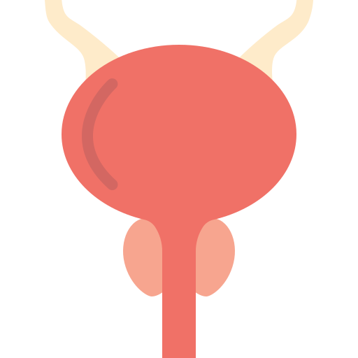 Prostatomegaly