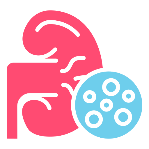 Renal Stones